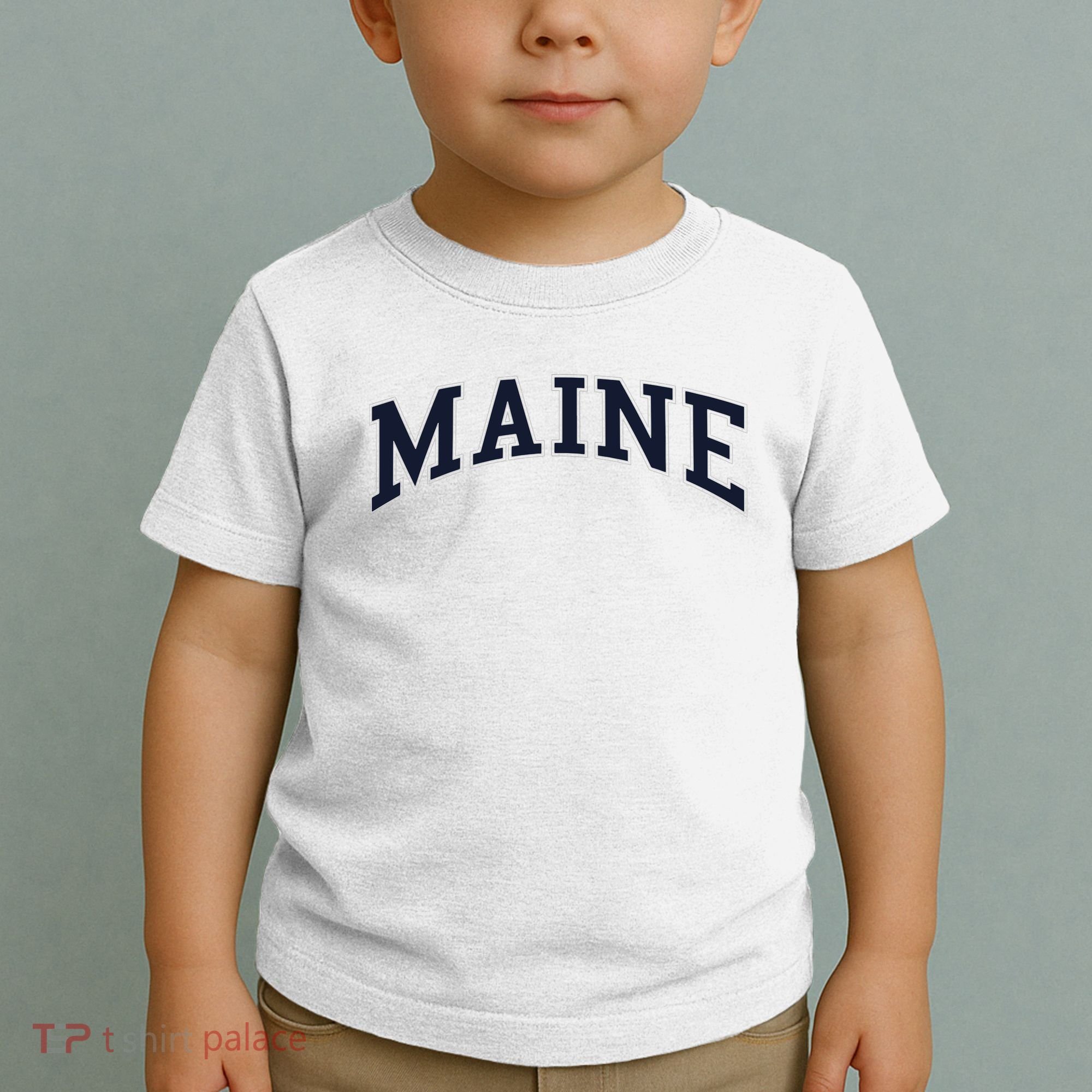 Maine Usa Varsity Style Toddler T-Shirt