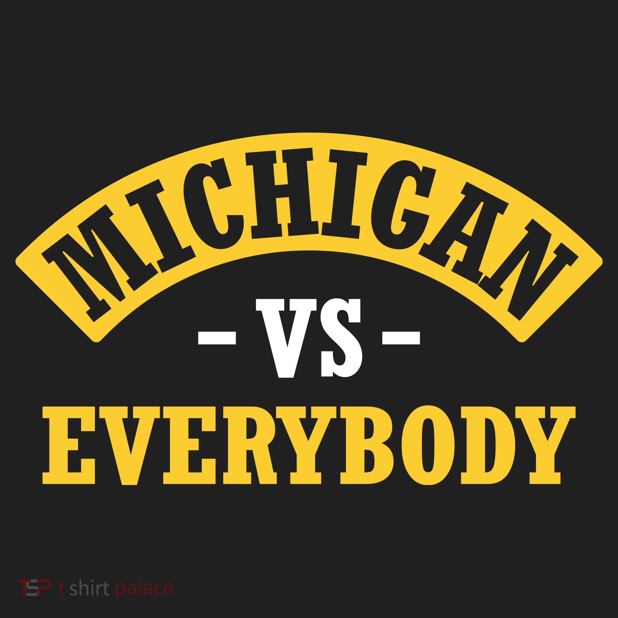 Michigan V Everyone Hat