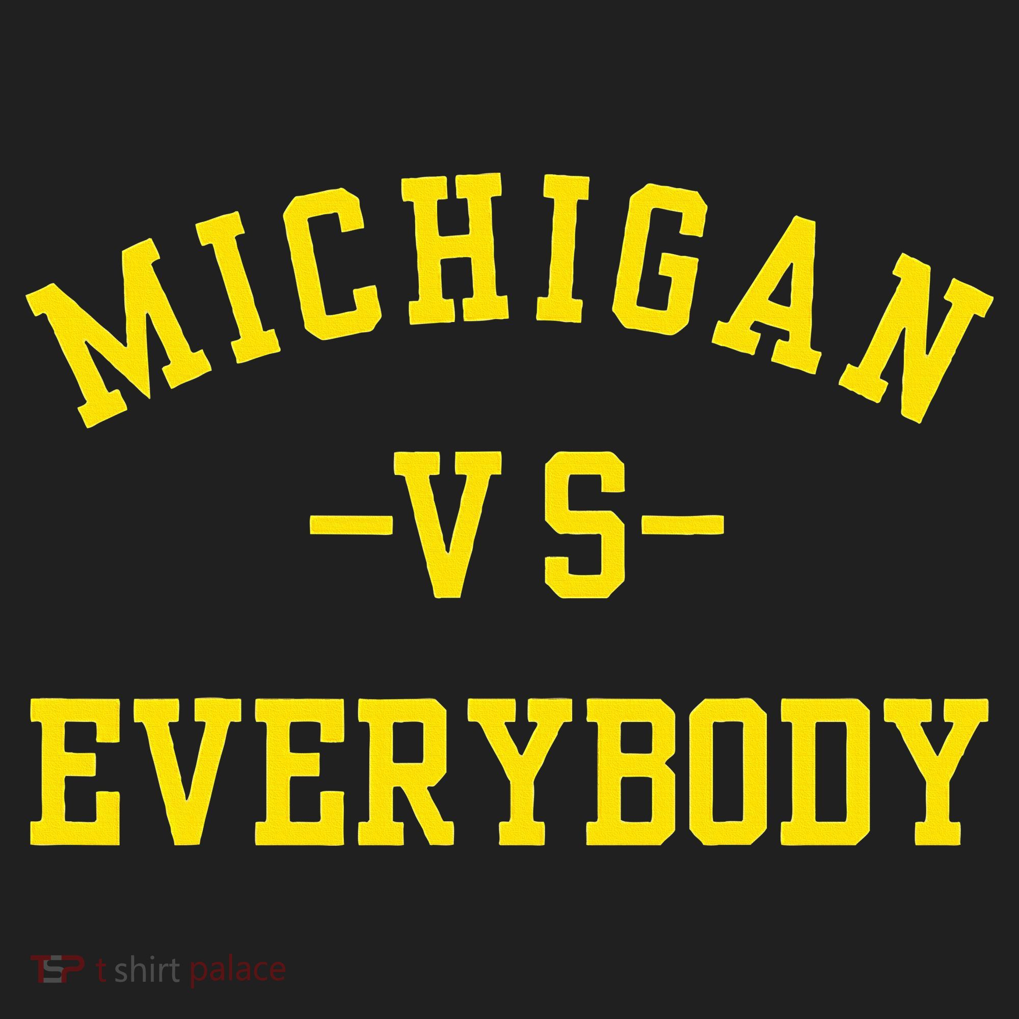 Michigan vs Everyone Everybody  Beanie