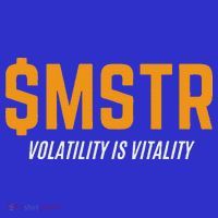 $Mstr Volatility Is Vitality Microstrategy Bitcoin Toddler Hoodie thumb 2