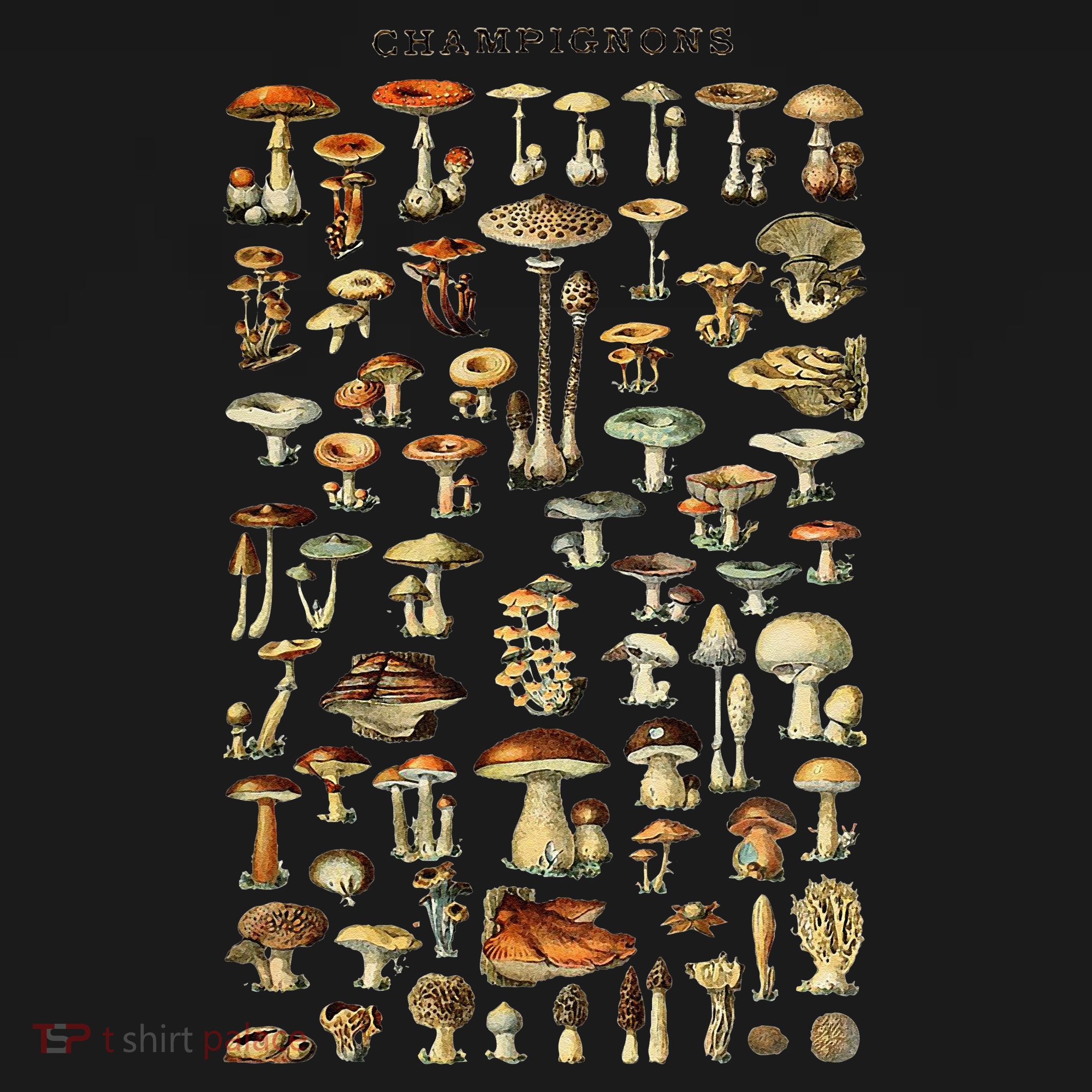 Mushroom  Vintage Mushroom Illustration Morel Hunter T-Shirt