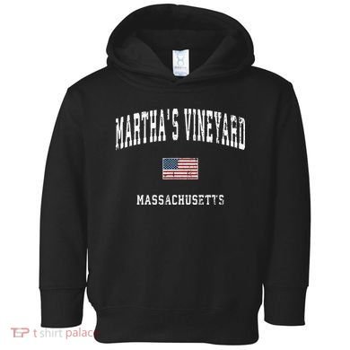 Marthas Vineyard Massachusetts Ma Vintage American Flag Toddler Hoodie