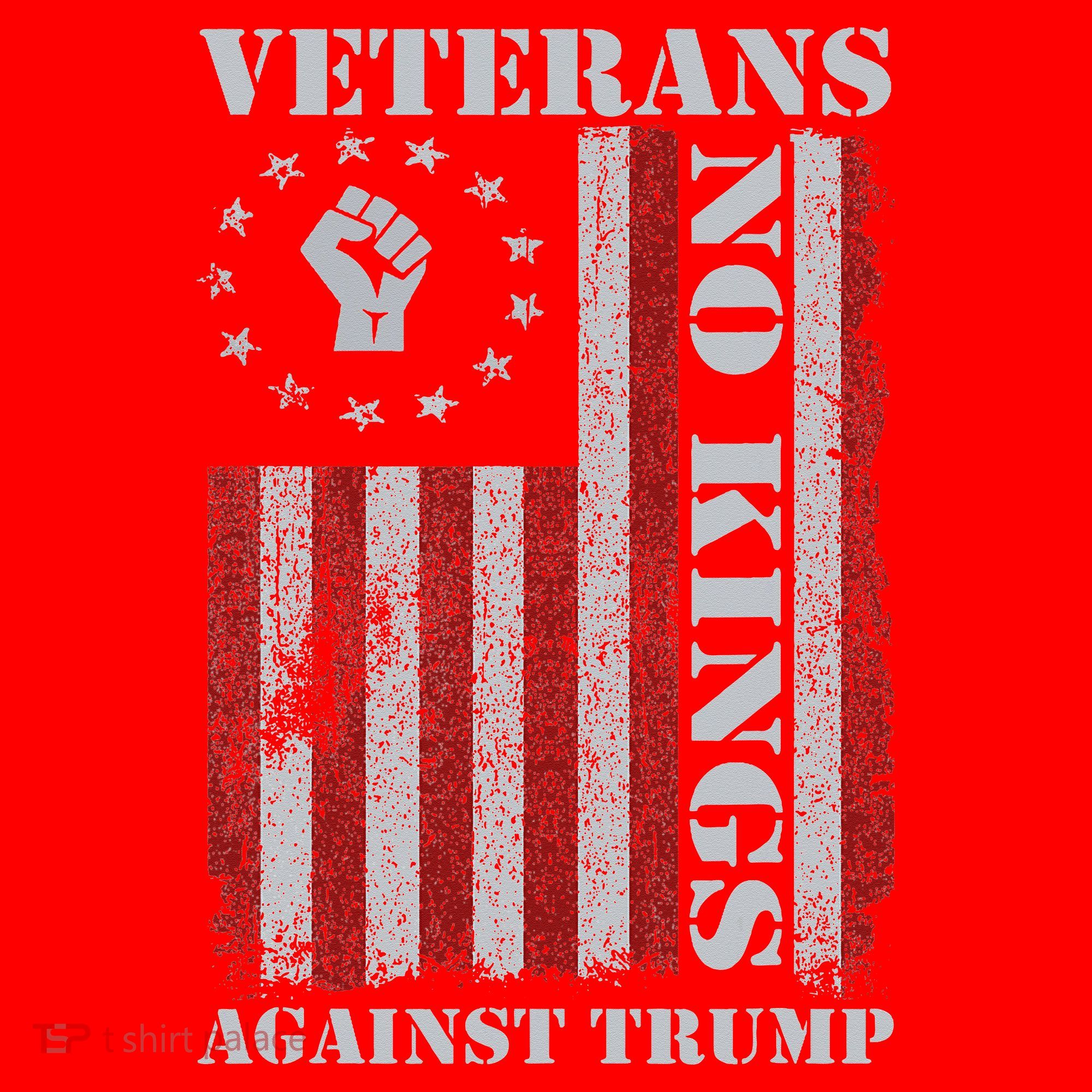 Military Veterans Protest USA Flag No Kings America Protest Gift Santa Hat