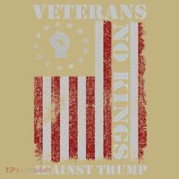 Military Veterans Protest USA Flag No Kings America Protest Gift Sweatshirt thumb 2