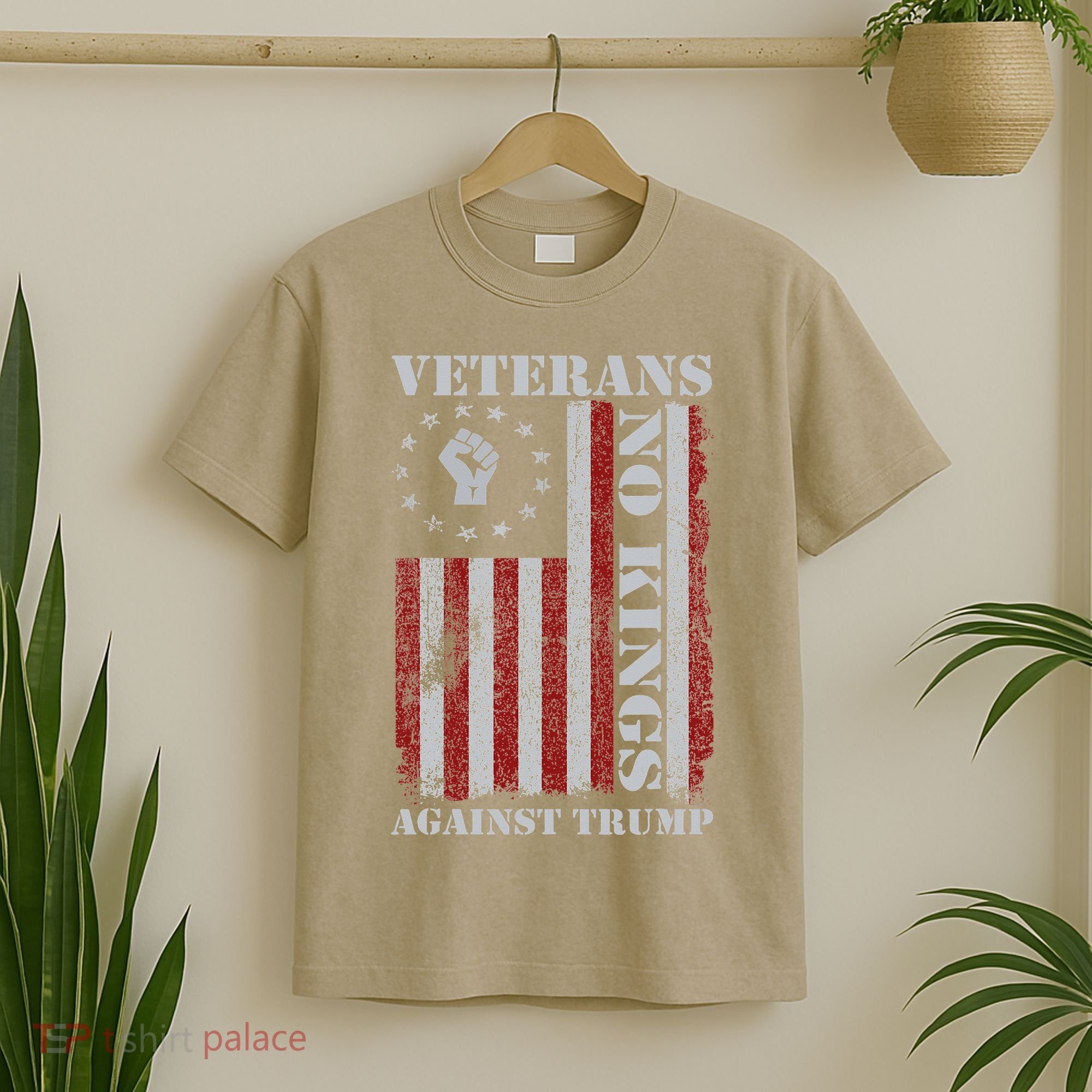 Military Veterans Protest USA Flag No Kings America Protest Gift T-Shirt