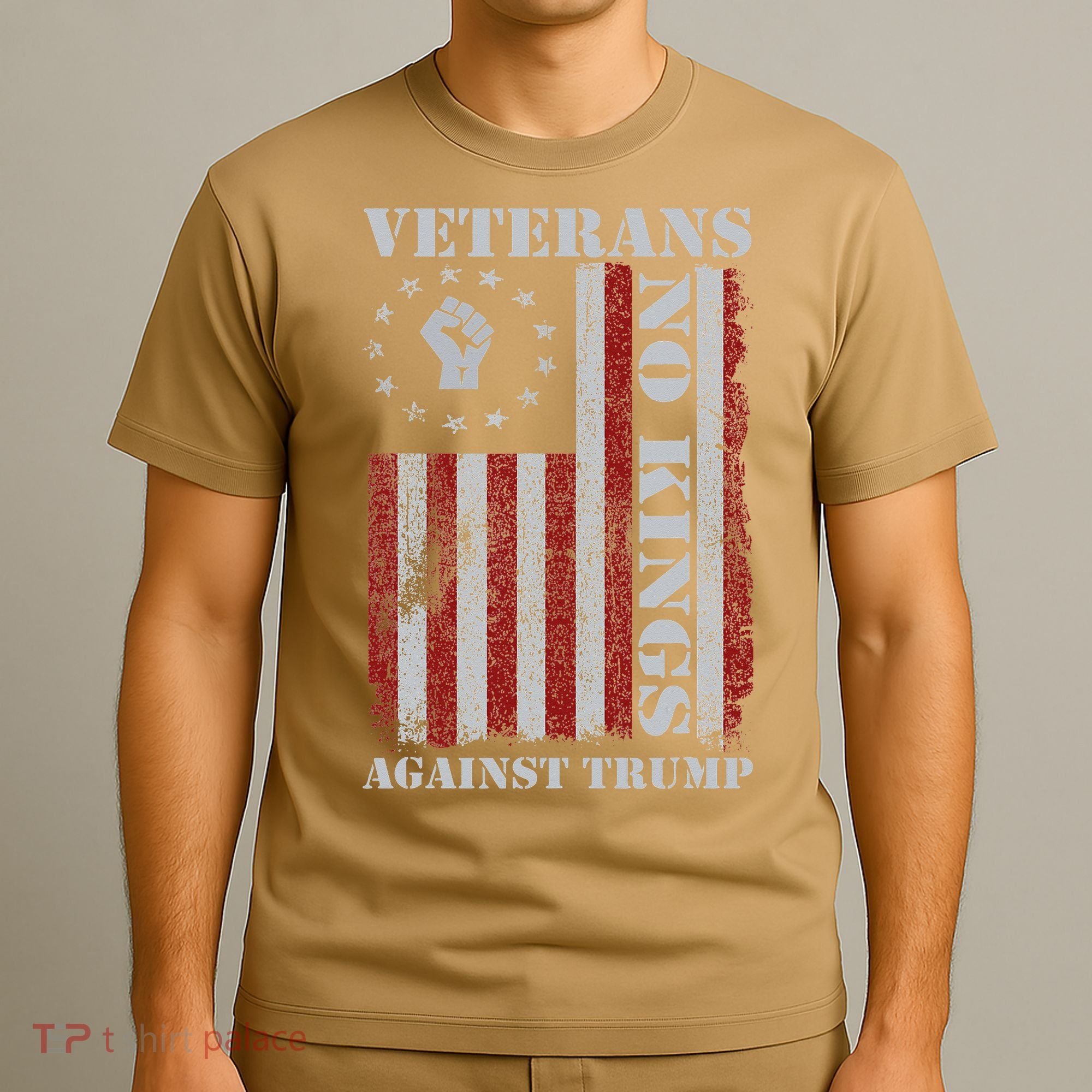 Military Veterans Protest USA Flag No Kings America Protest Gift T-Shirt