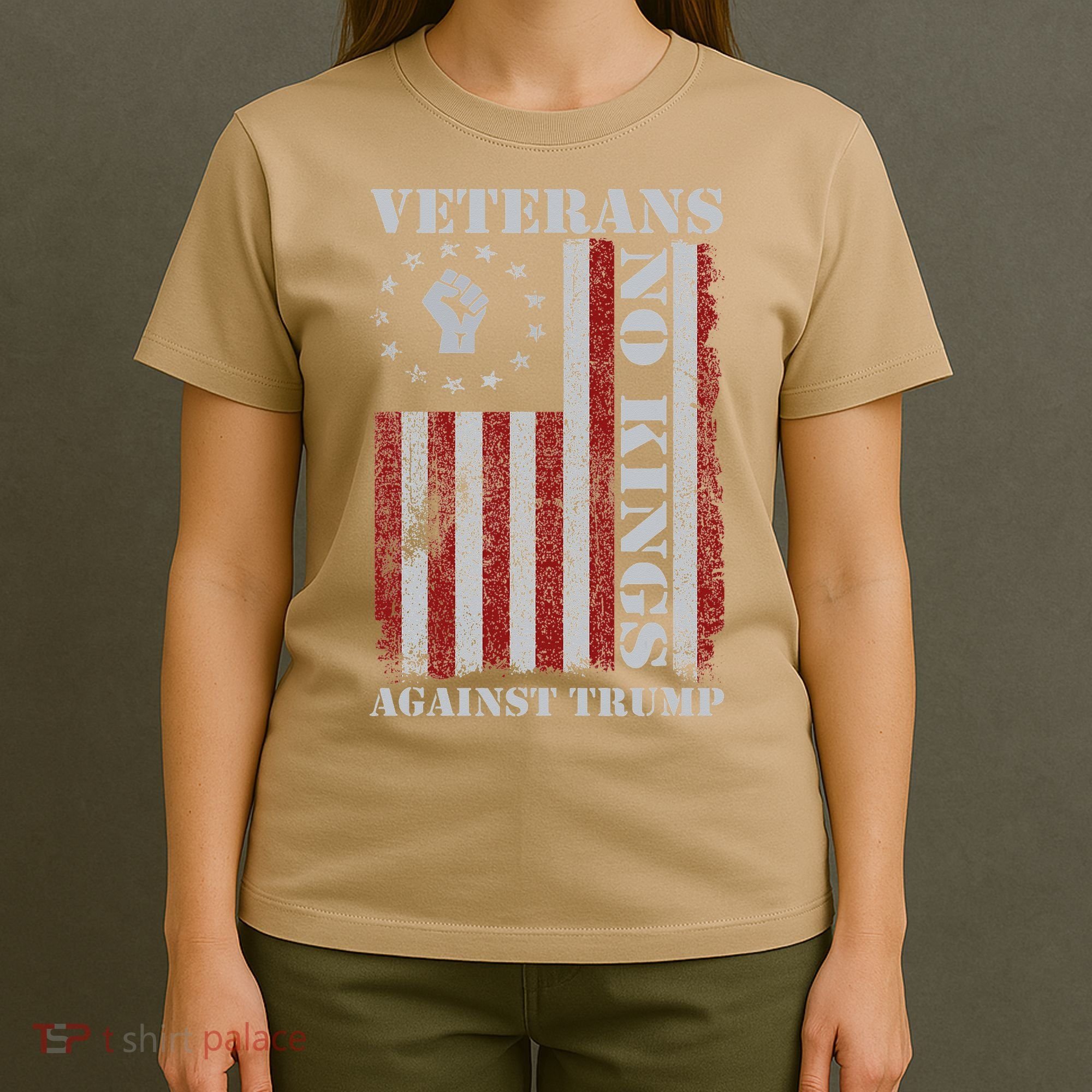 Military Veterans Protest USA Flag No Kings America Protest Gift T-Shirt