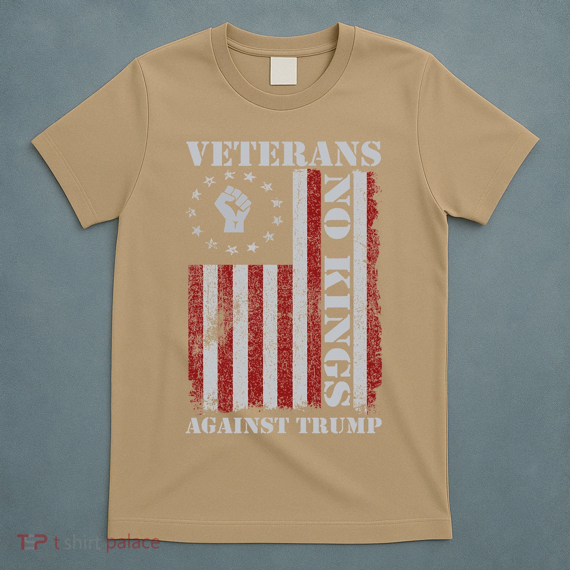 Military Veterans Protest USA Flag No Kings America Protest Gift T-Shirt