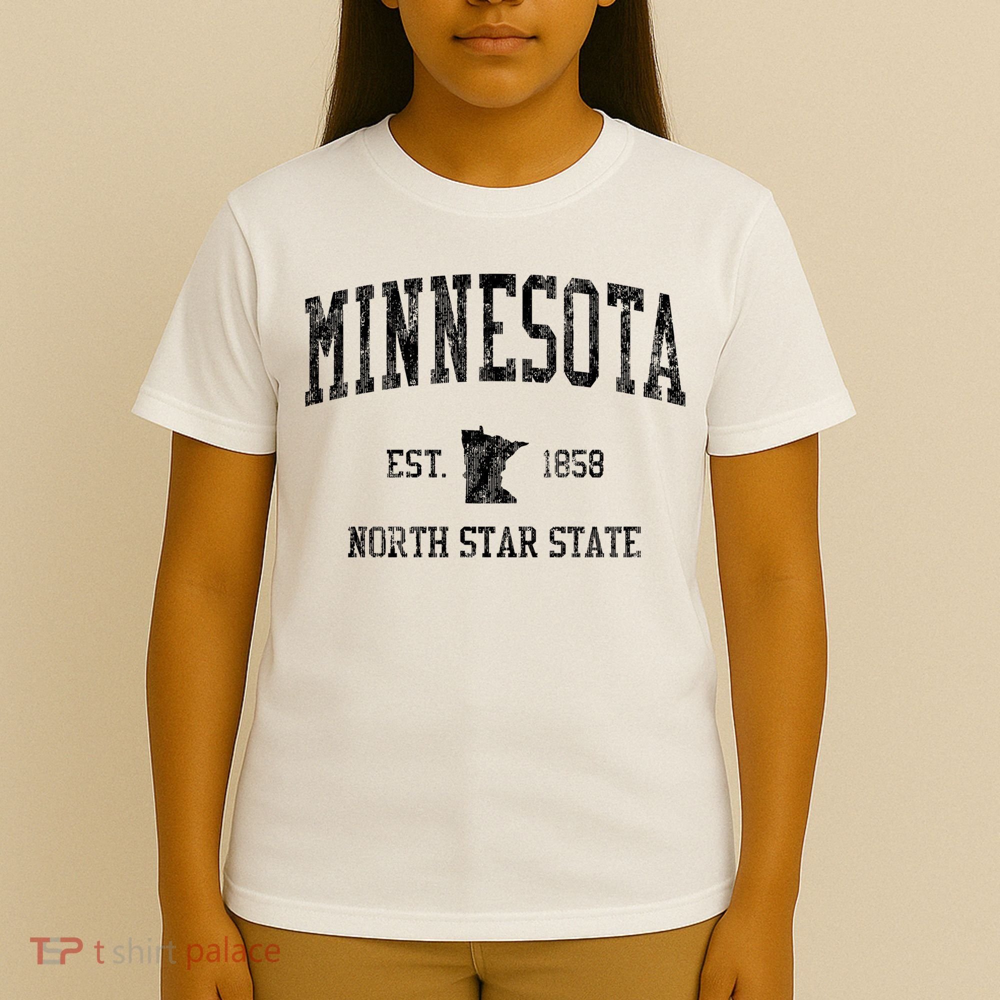 Minnesota Vintage Sports T-Shirt
