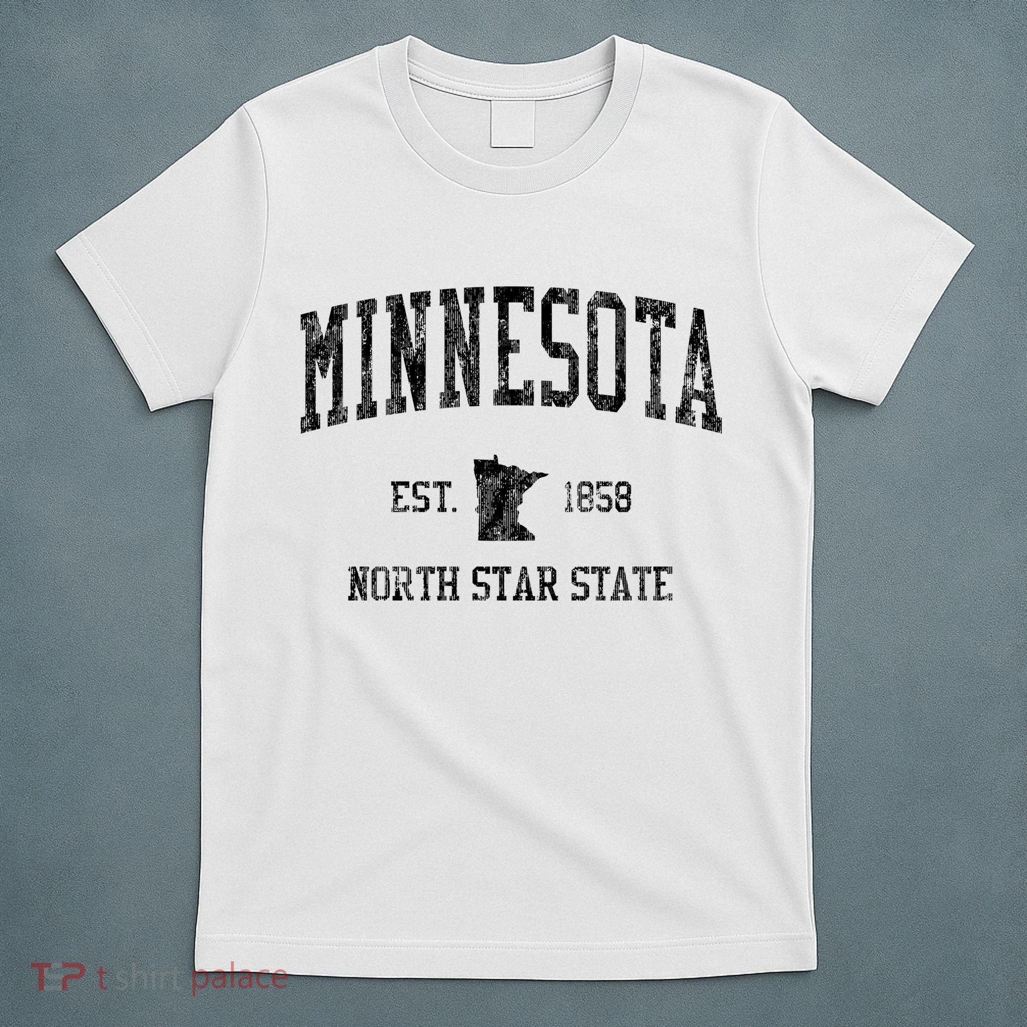 Minnesota Vintage Sports T-Shirt