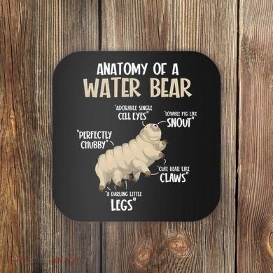 Microbiology Water Bear Science Facts Tardigrade Anatomy Coaster