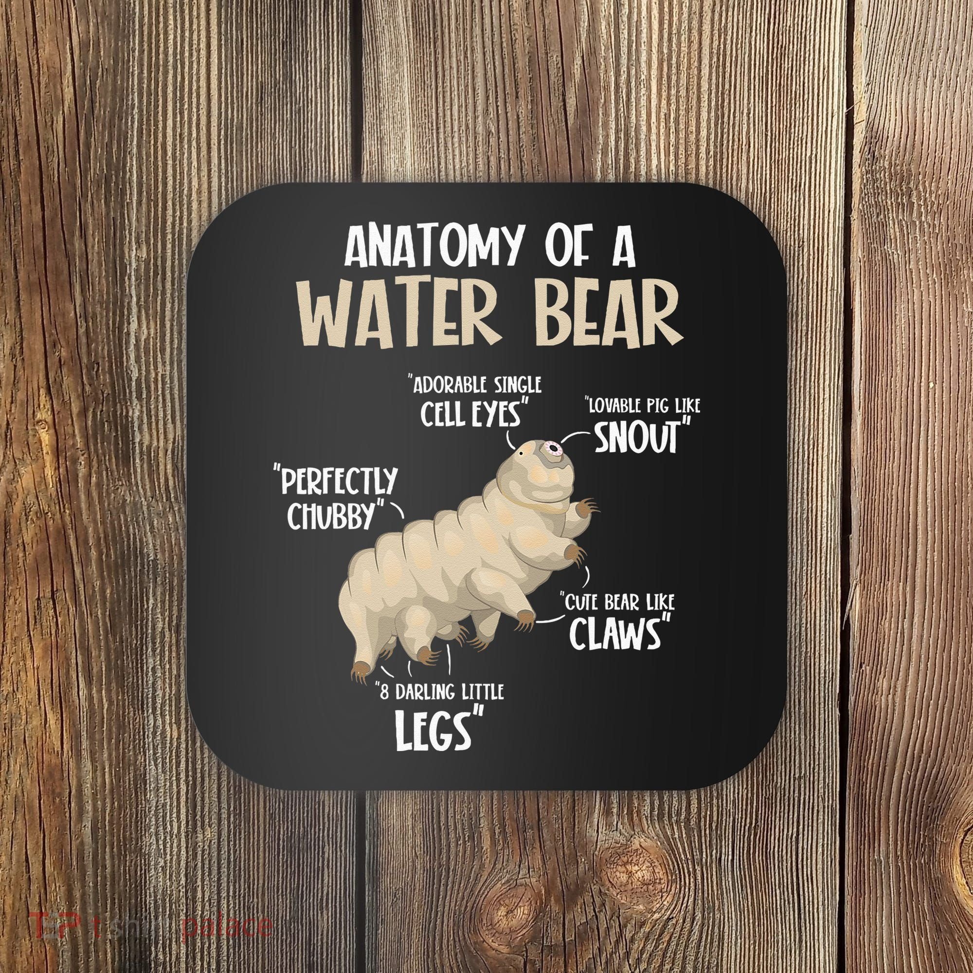 Microbiology Water Bear Science Facts Tardigrade Anatomy Coaster