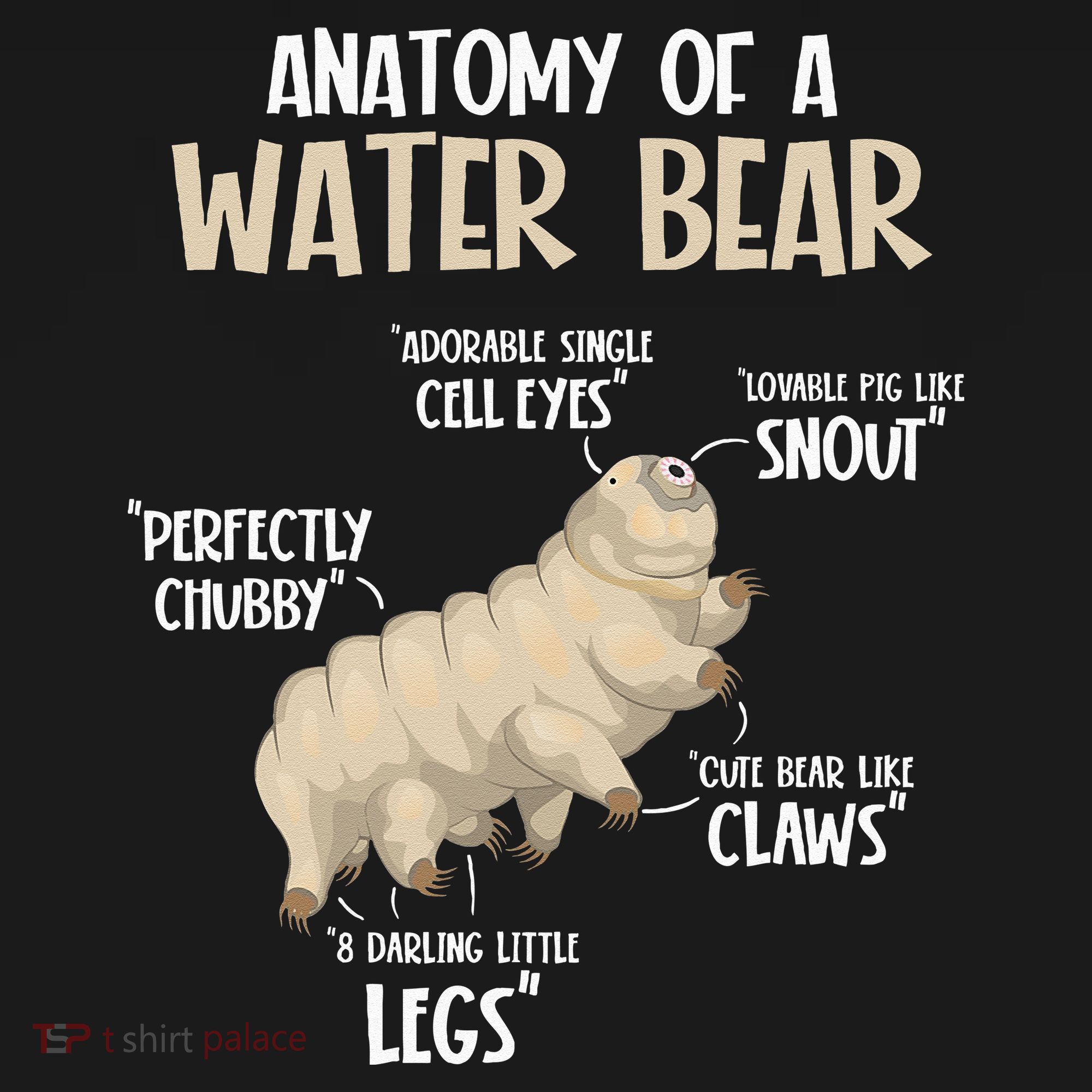 Microbiology Water Bear Science Facts Tardigrade Anatomy Coaster