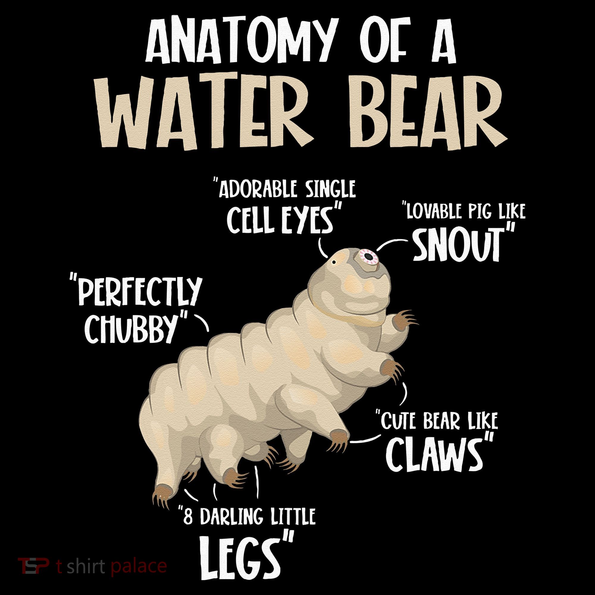Microbiology Water Bear Science Facts Tardigrade Anatomy Women's Hoodie