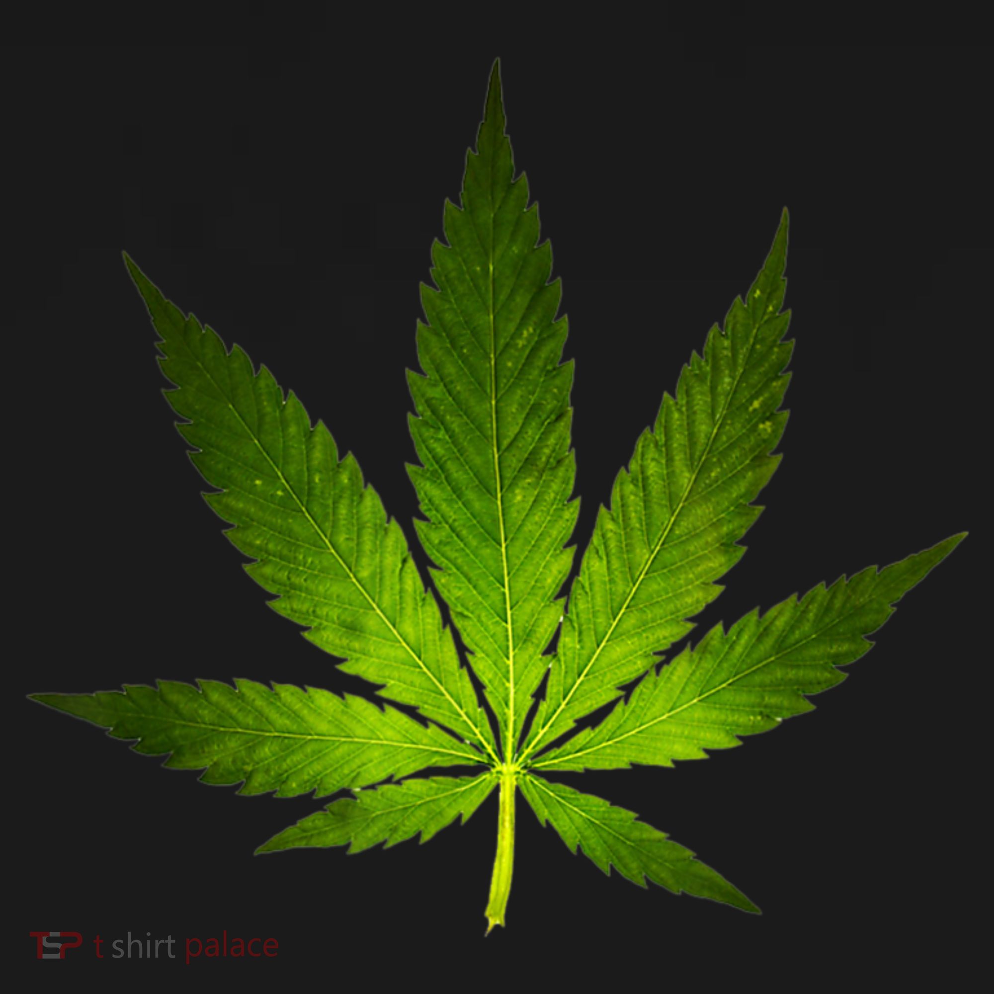 Majestic Weed Cannabis Plant Leaf Silhouette Bucket Hat