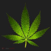 Majestic Weed Cannabis Plant Leaf Silhouette Beanie thumb 2