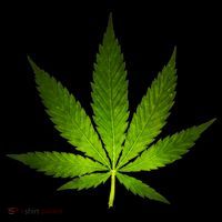 Majestic Weed Cannabis Plant Leaf Silhouette Toddler Hoodie thumb 2
