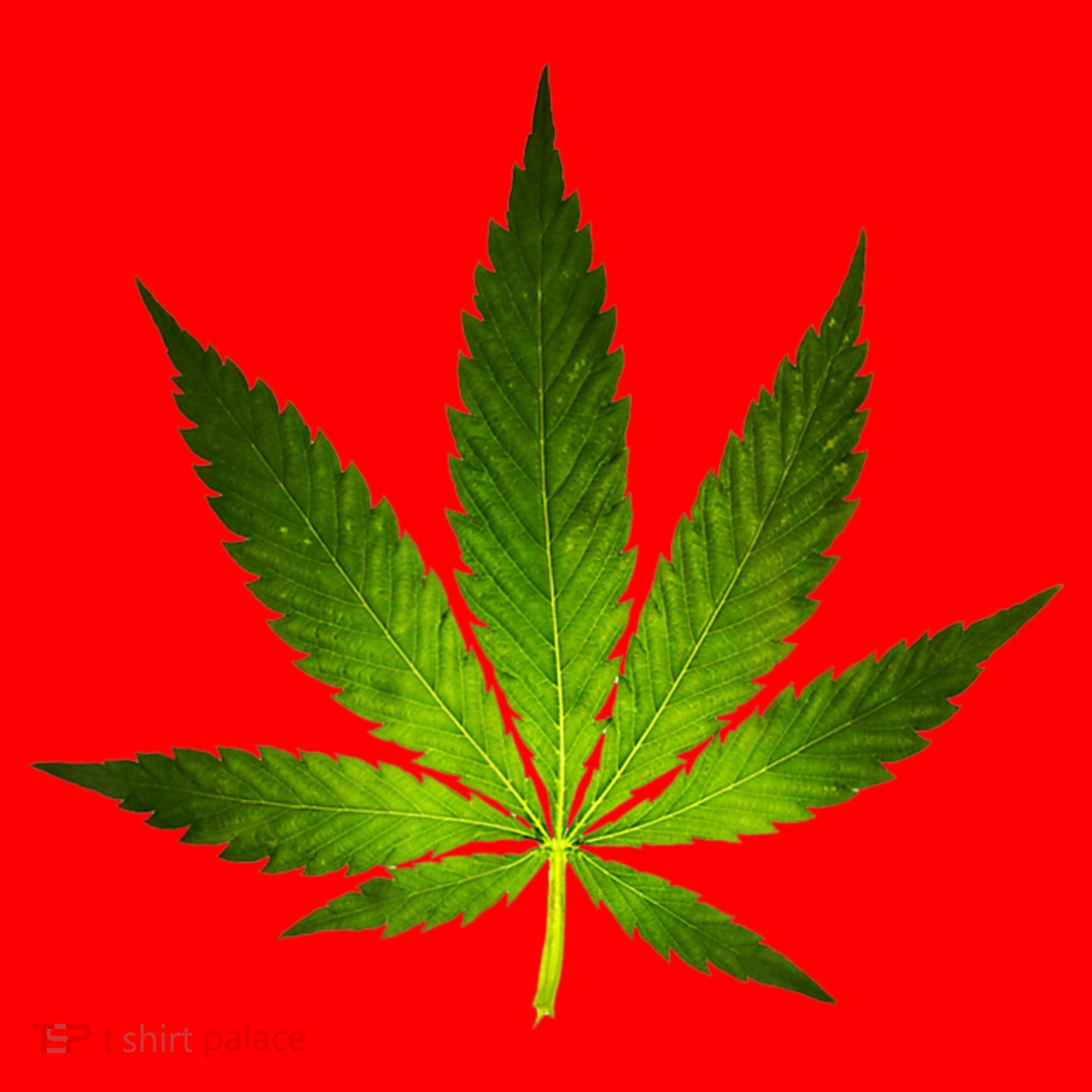 Majestic Weed Cannabis Plant Leaf Silhouette Santa Hat