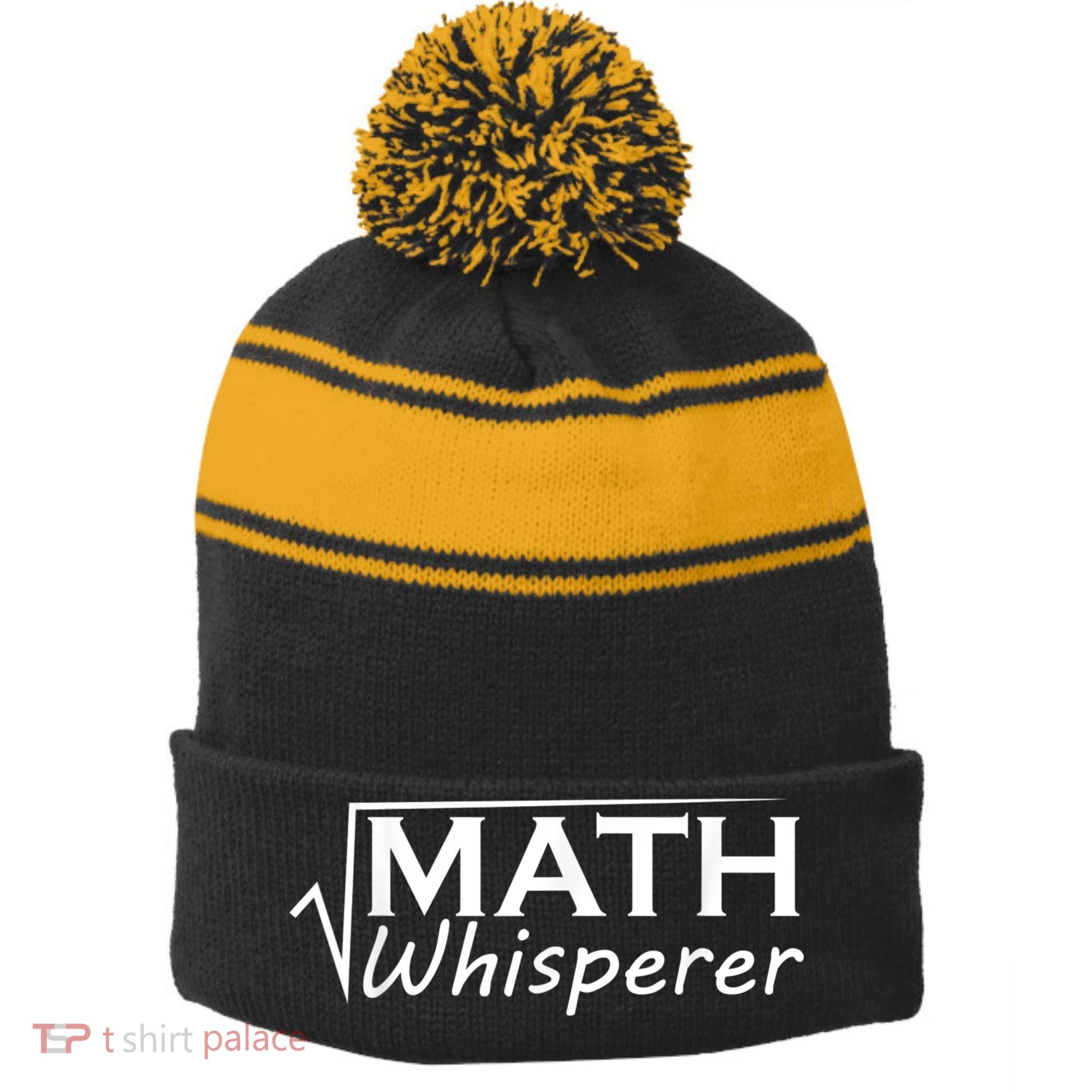 Math Whisperer Funny Math Teacher Teaching Gift Stripe Pom Pom Beanie