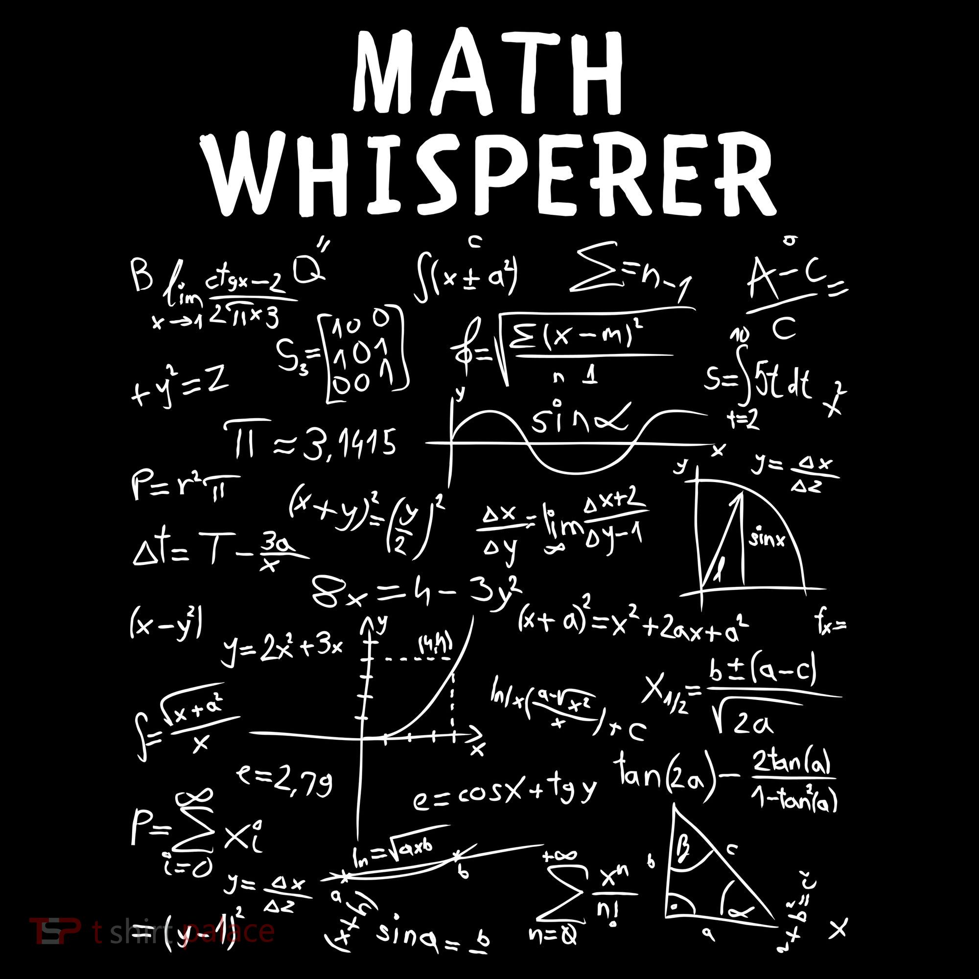Math Whisperer Funny Pi Day Math Lovers Costume Math Teacher Calculus Algebra Ladies Essential Flowy Tank
