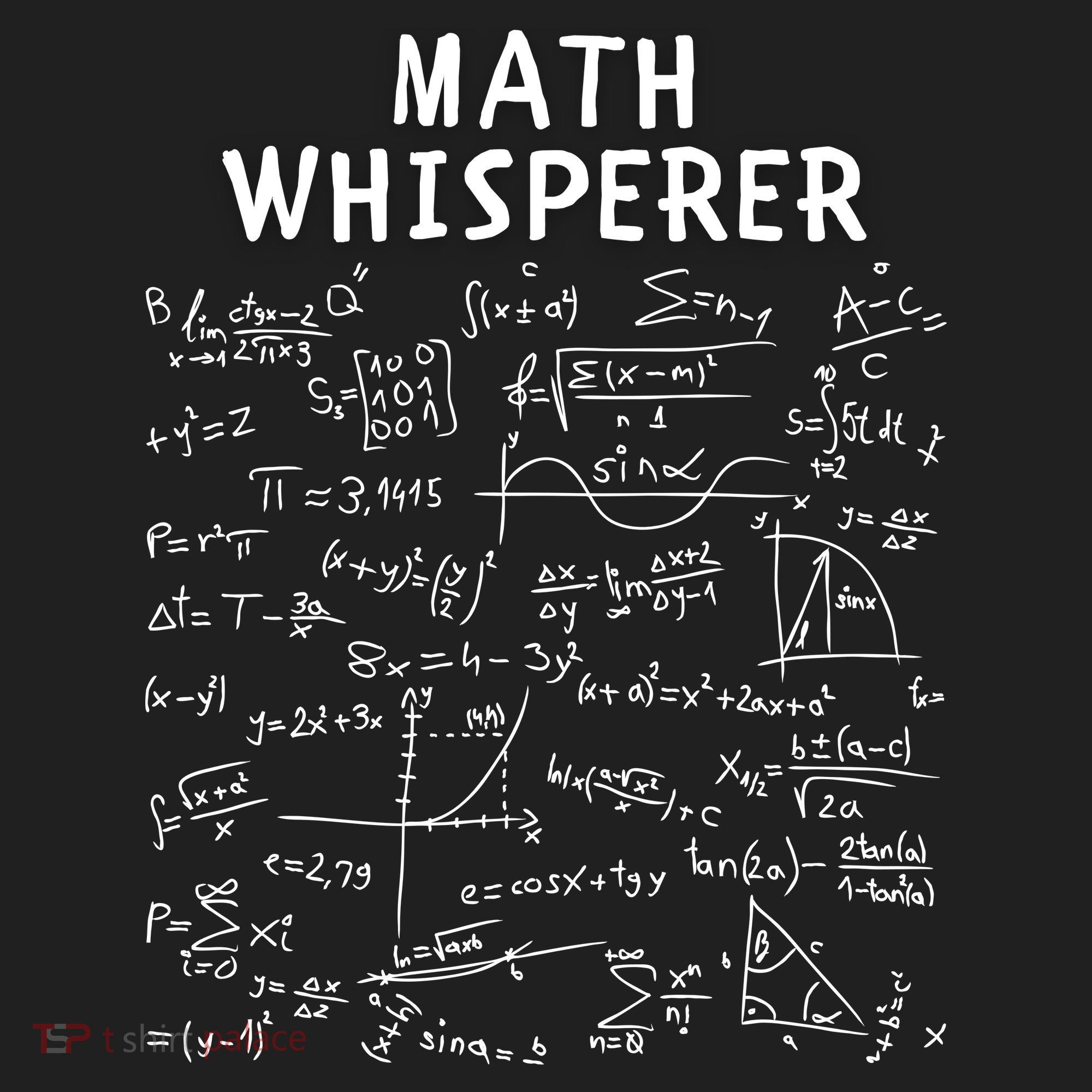 Math Whisperer Funny Pi Day Math Lovers Costume Math Teacher Calculus Algebra Hat