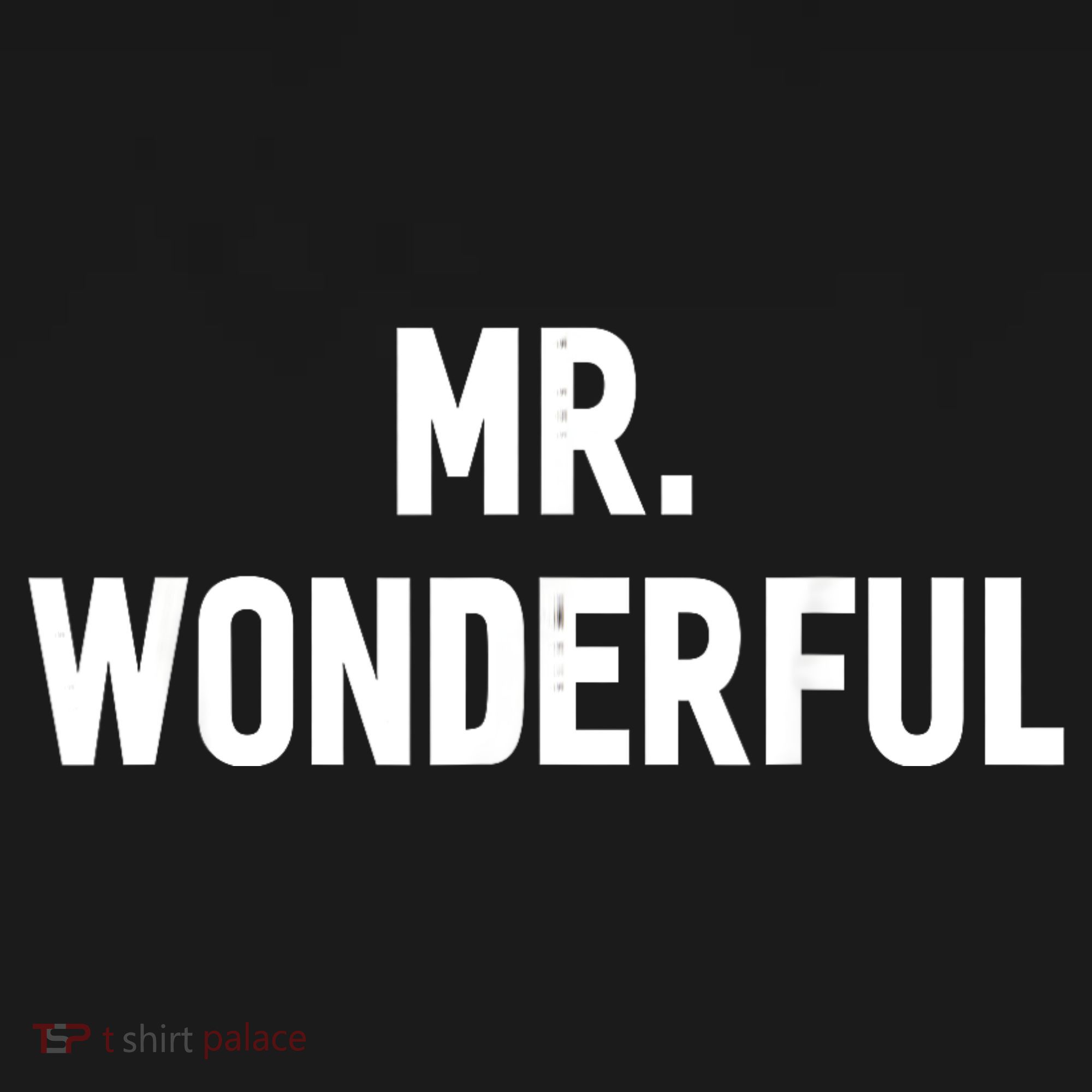 Mr. Wonderful Funny Hilarious Husband Humor Visor