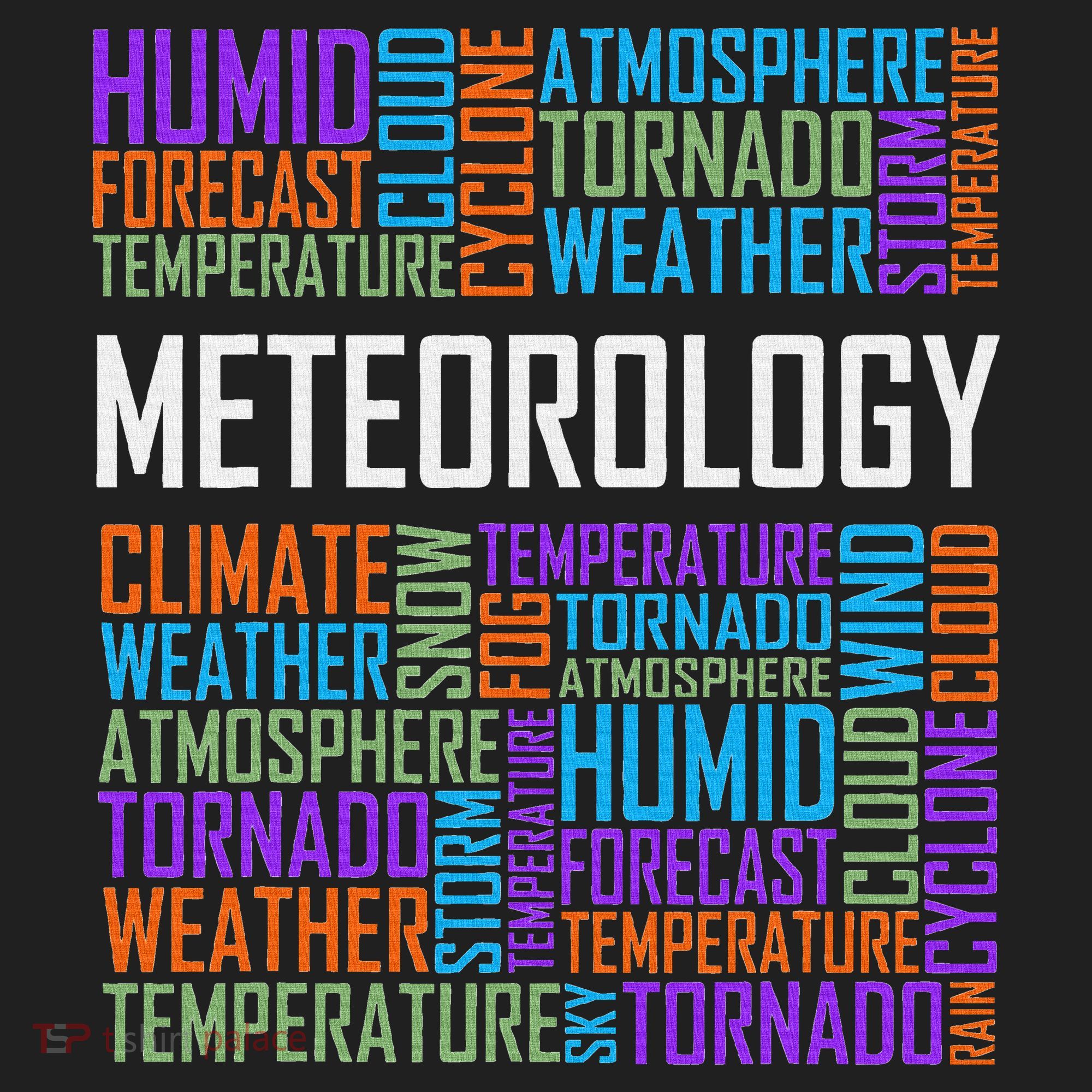 Meteorology Words Gifts Weather Forecast Meteorologist Gift Beanie