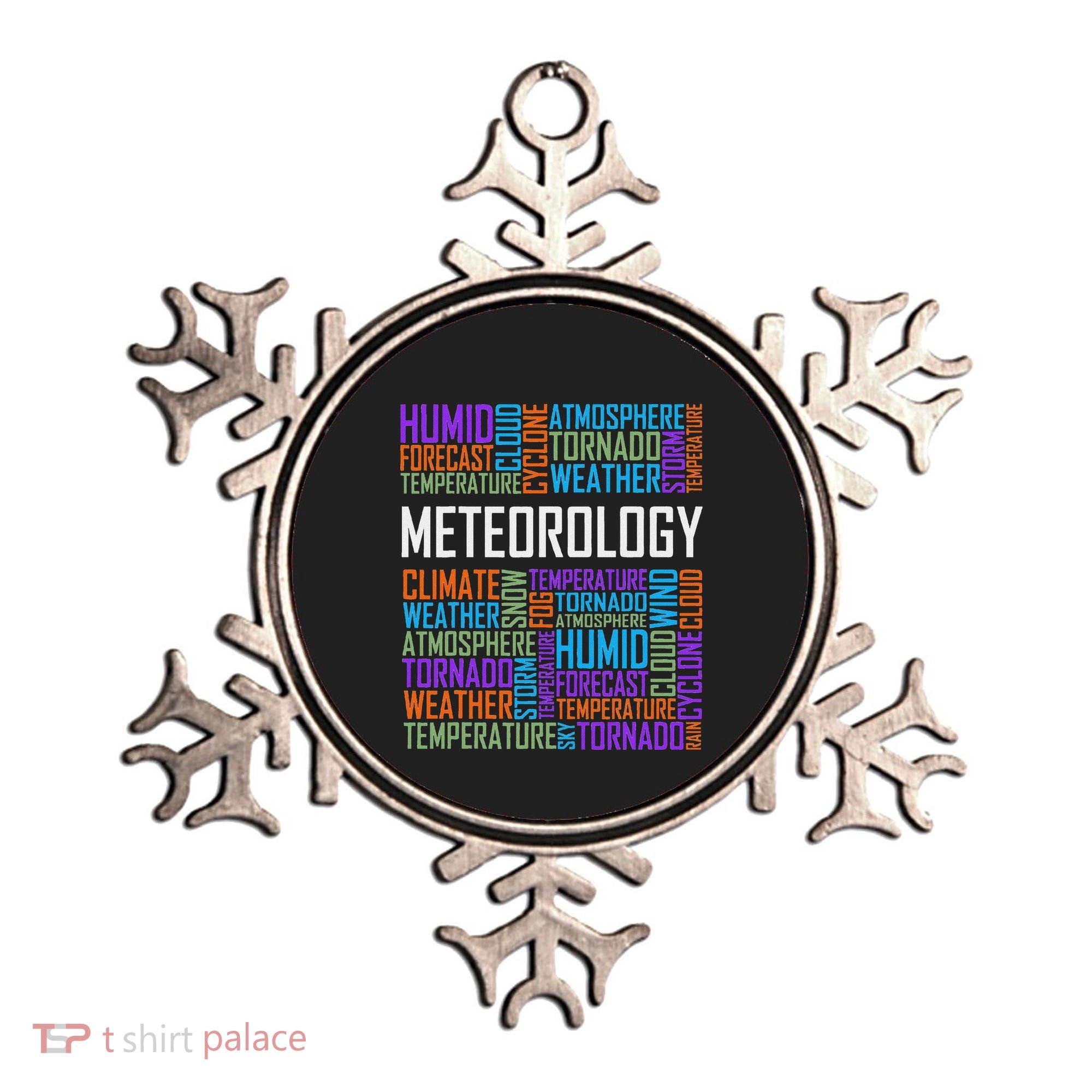 Meteorology Words Gifts Weather Forecast Meteorologist Gift Ornament