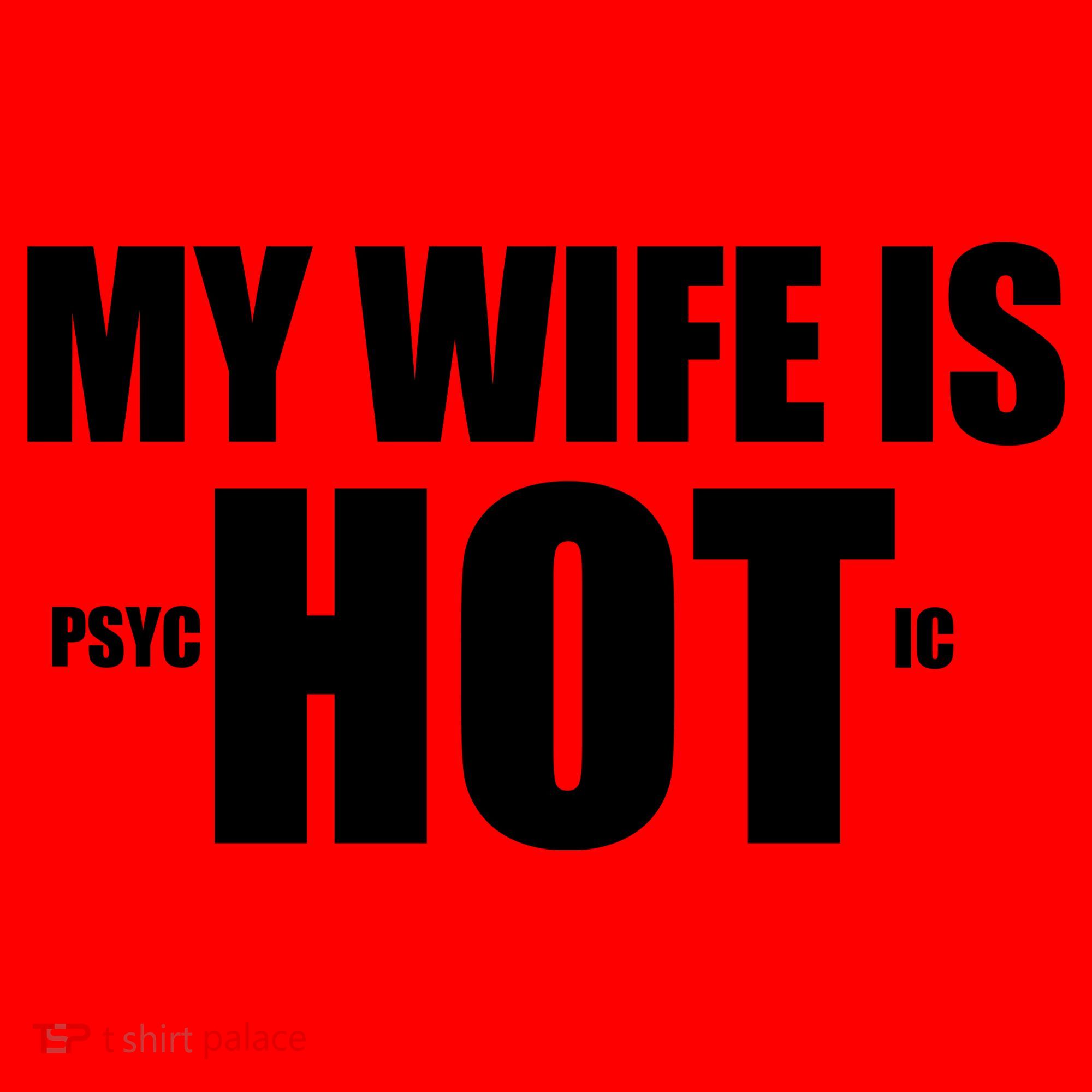 My Wife Is Psychotic (Hot) Funny Married Couples Santa Hat