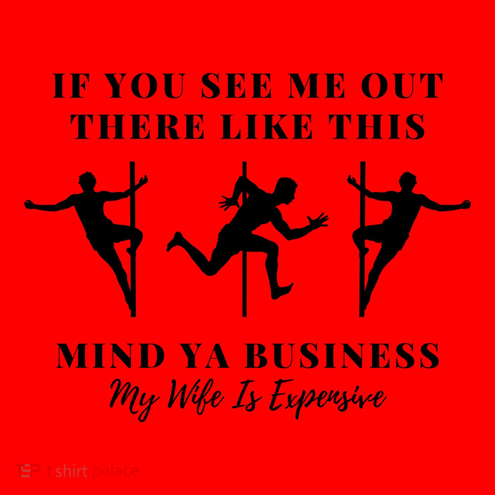 My Wife Is Expensive Funny Husband Santa Hat