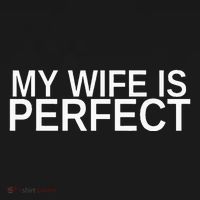 My Wife Is Perfect Funny Husband Wedding Anniversary Polo thumb 3