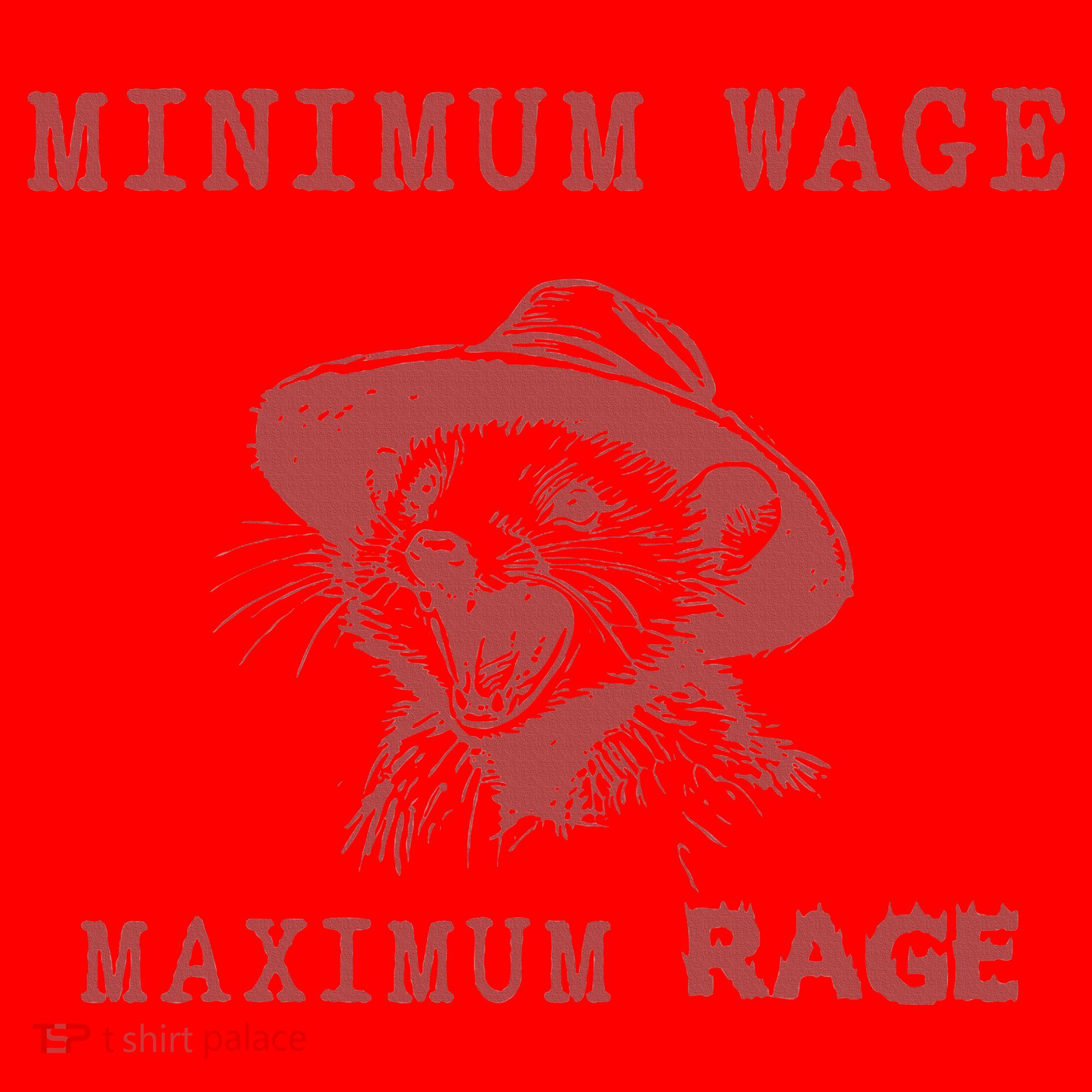 Minimum Wage Maximum Rage Funny Opossums Raccoon Lovers Santa Hat