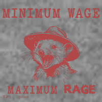 Minimum Wage Maximum Rage Funny Opossums Raccoon Lovers Toddler Hoodie thumb 2