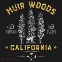 Muir Woods National Monument California Redwood Park Women's Hoodie thumb 2