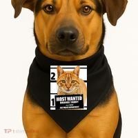 Most Wanted Orange Tabby Cat T Feline S USA-Made Doggie Bandana thumb 1