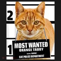 Most Wanted Orange Tabby Cat T Feline S Women's Hoodie thumb 2