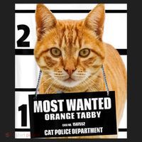 Most Wanted Orange Tabby Cat T Feline S Golf Towel thumb 3