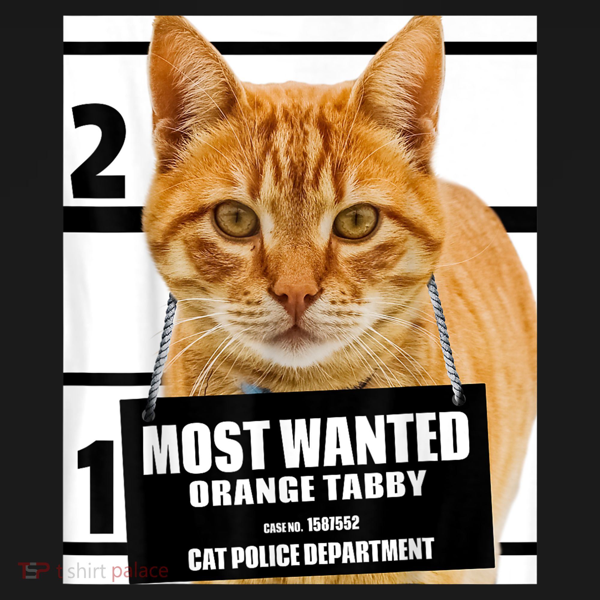 Most Wanted Orange Tabby Cat T Feline S Women's T-Shirt