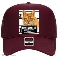 Most Wanted Orange Tabby Cat T Feline S Hat thumb 0