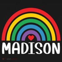 Madison Wisconsin Travel I Love Madison Usa Meaningful Gift Ornament thumb 1