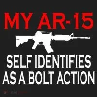My AR-15 Self Identifies As A Bolt Action Beanie thumb 2