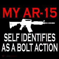 My AR-15 Self Identifies As A Bolt Action Women's Hoodie thumb 2