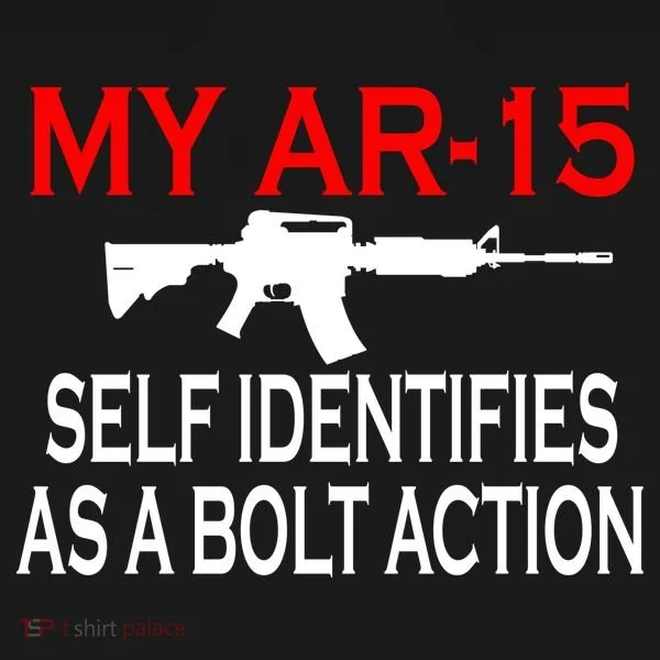 My AR-15 Self Identifies As A Bolt Action Kids Hoodie