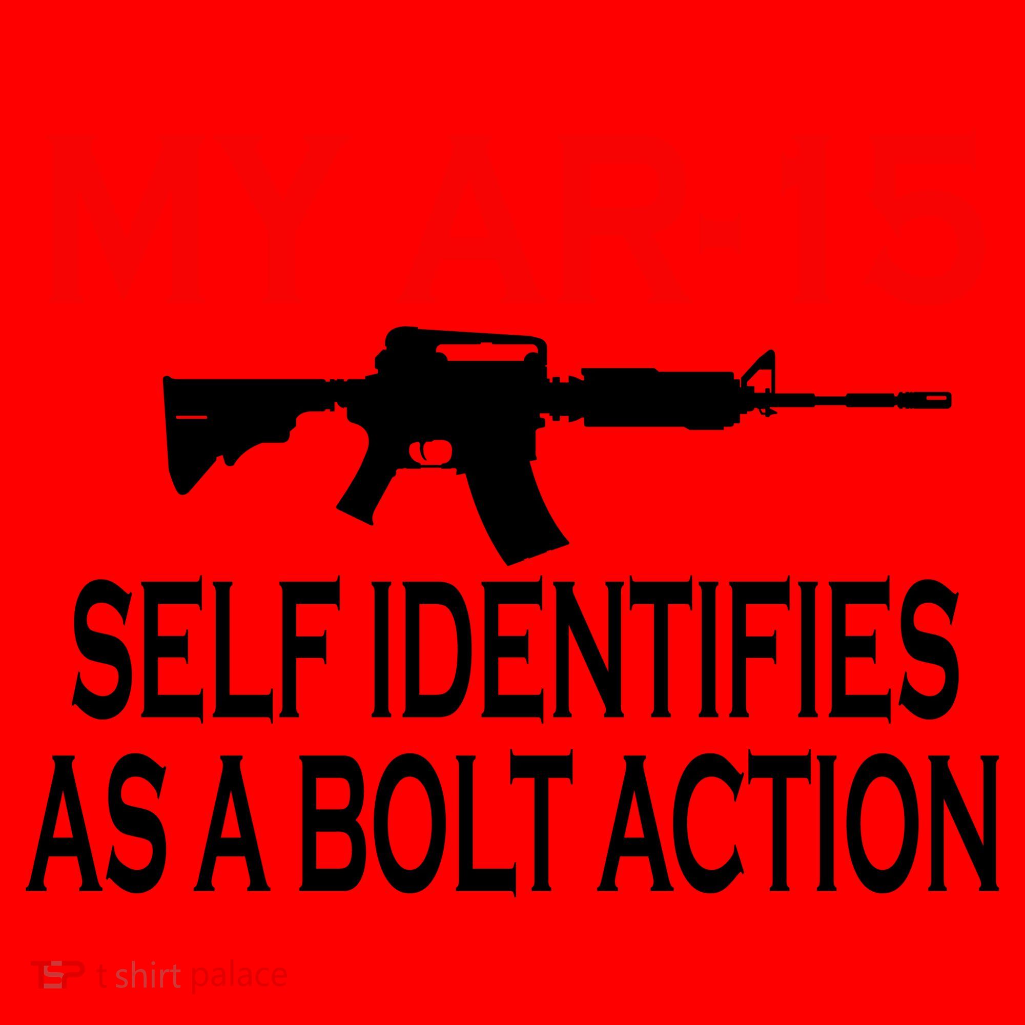 My AR-15 Self Identifies As A Bolt Action Santa Hat