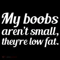 My Boobs Aren't Small They're Low Fat Pajama Set thumb 2