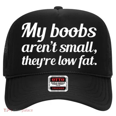 My Boobs Aren't Small They're Low Fat Hat