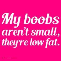 My Boobs Aren't Small They're Low Fat Button thumb 1
