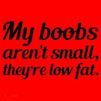My Boobs Aren't Small They're Low Fat Santa Hat thumb 1