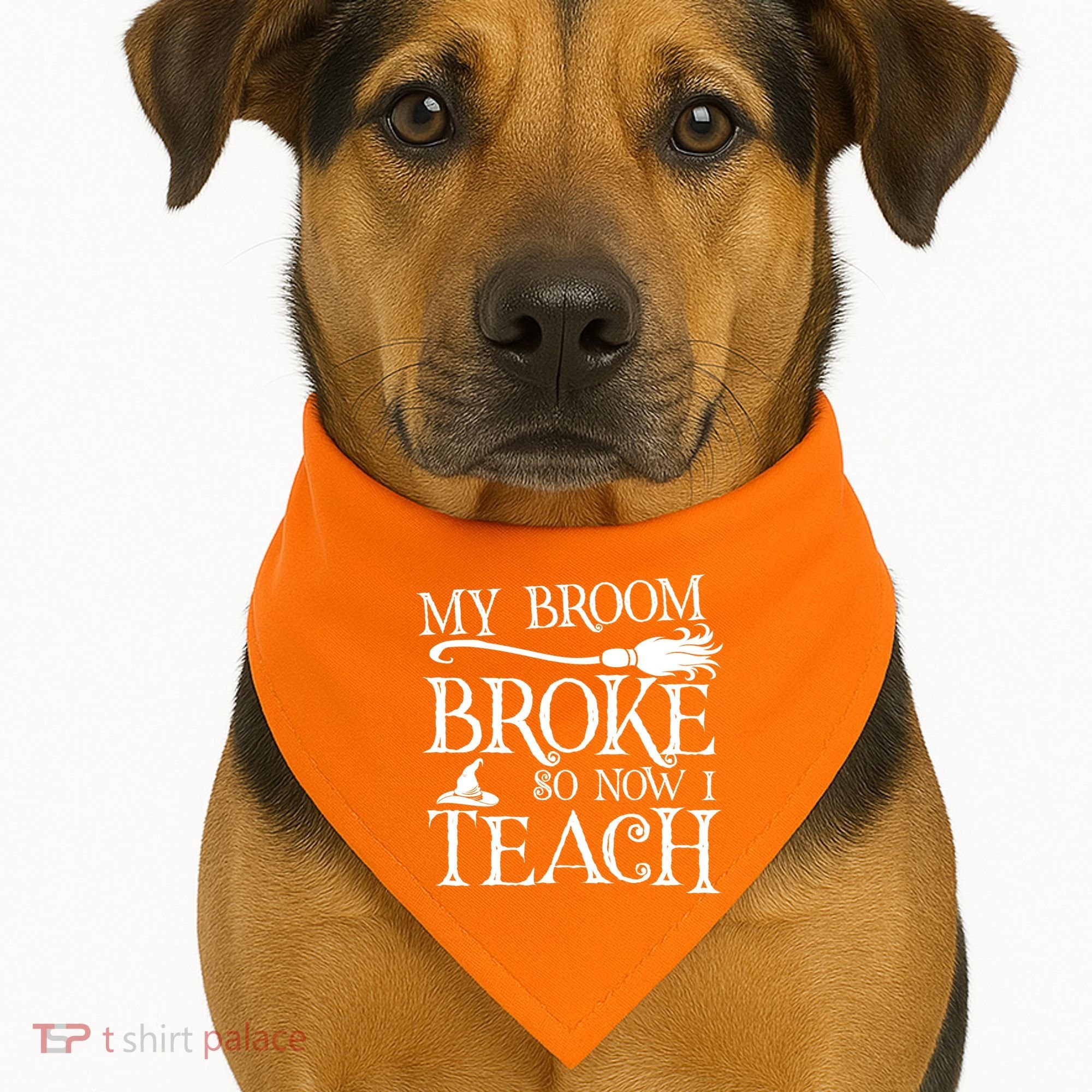 My Broom Broke So Now I Teach USA-Made Doggie Bandana