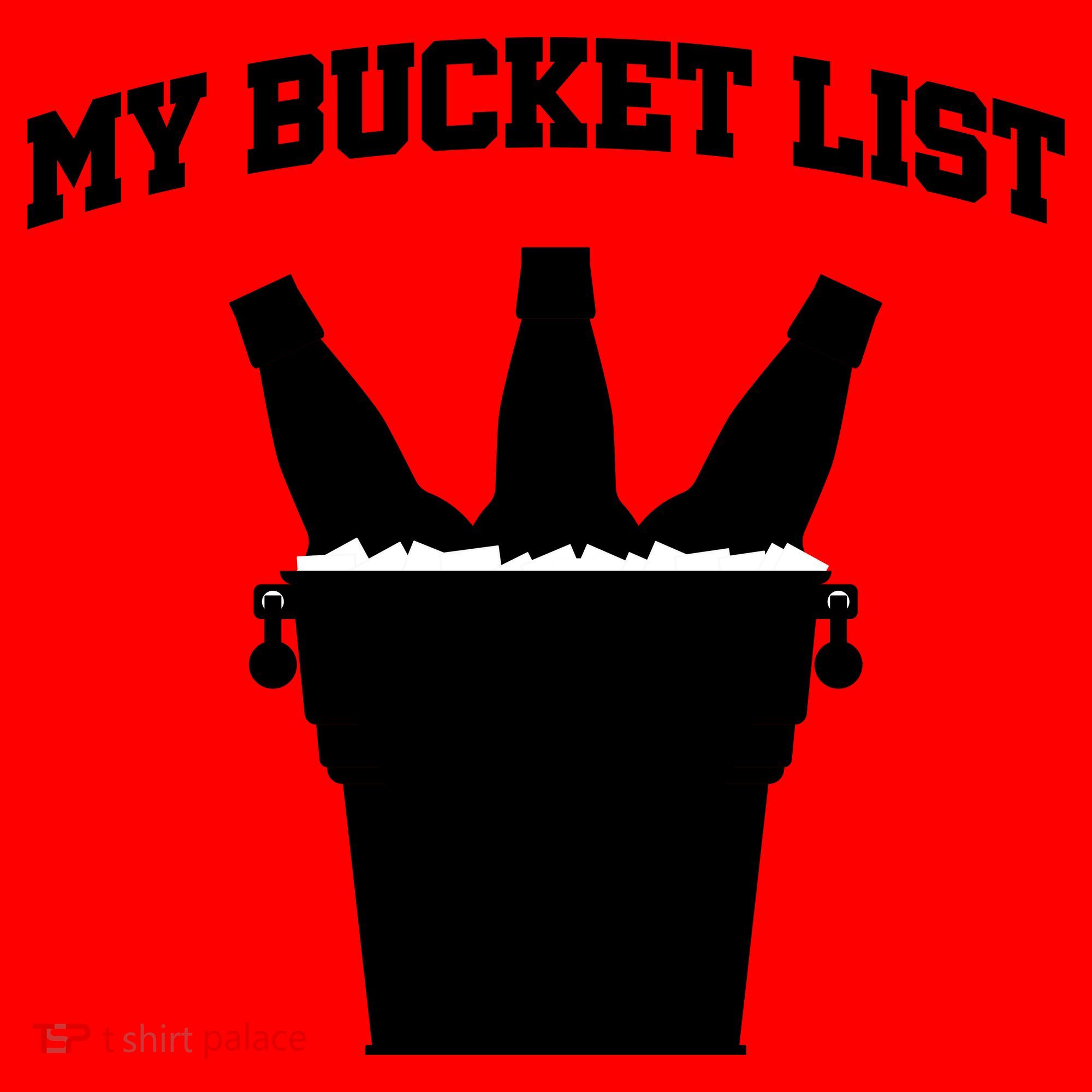 My Bucket List Santa Hat